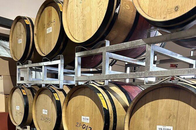 Alcantara Estate Vineyards Tasting Experience - Getting the most from the experience: food, pacing, and comfort