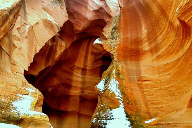 Antelope Canyon and Glen Canyon Scenic Day Trip from Sedona or Flagstaff - Price and Value: Is $311.97 Worth It?