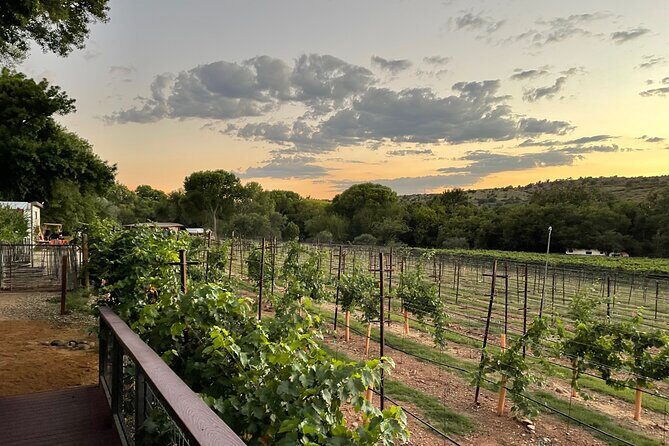 Arizona Winery All-Inclusive Tour with Lunch & Tastings - Key things that make this tour worth a look