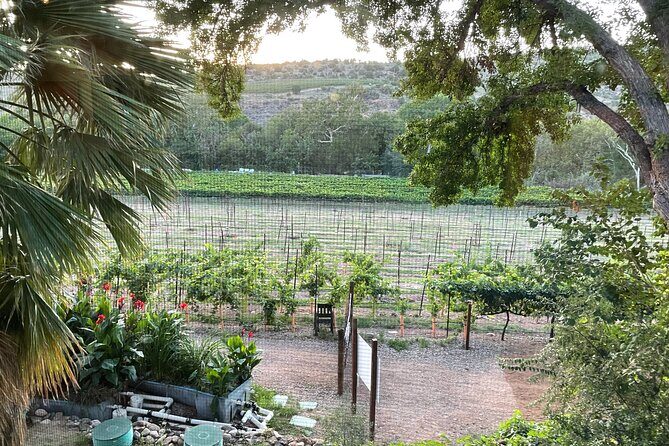 Arizona Winery All-Inclusive Tour with Lunch & Tastings - Your Day at a Glance: Pickup, Timing, and a Relaxed Pace