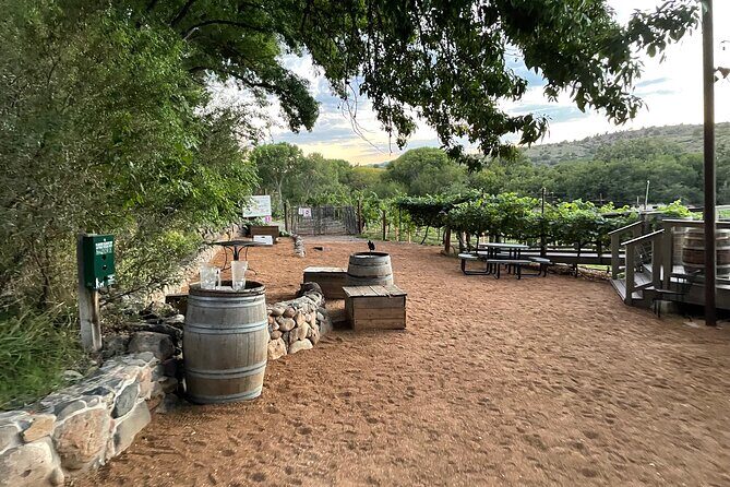 Arizona Winery All-Inclusive Tour with Lunch & Tastings - Price and What You Actually Get for $199