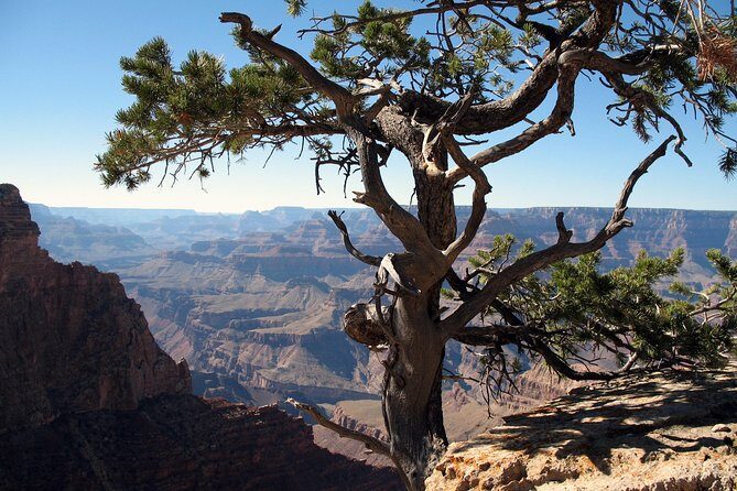 Comprehensive Grand Canyon Tour from Sedona - Sedona to the South Rim: why this day trip works