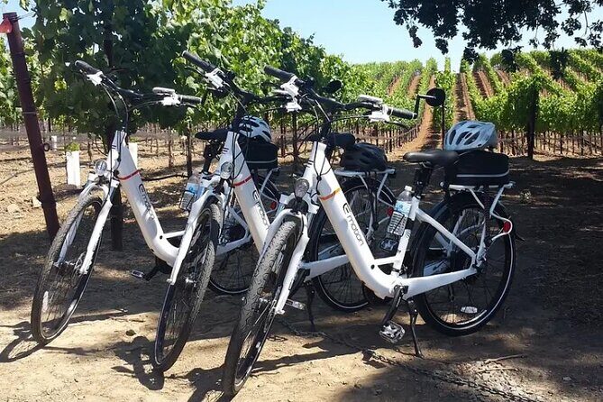 Experience E-Bike with Wine Tasting Activity - Key Things I’d Plan For