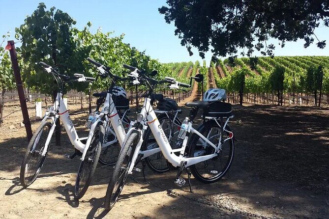 Experience E-Bike with Wine Tasting Activity - Practical Details You’ll Want Before You Go