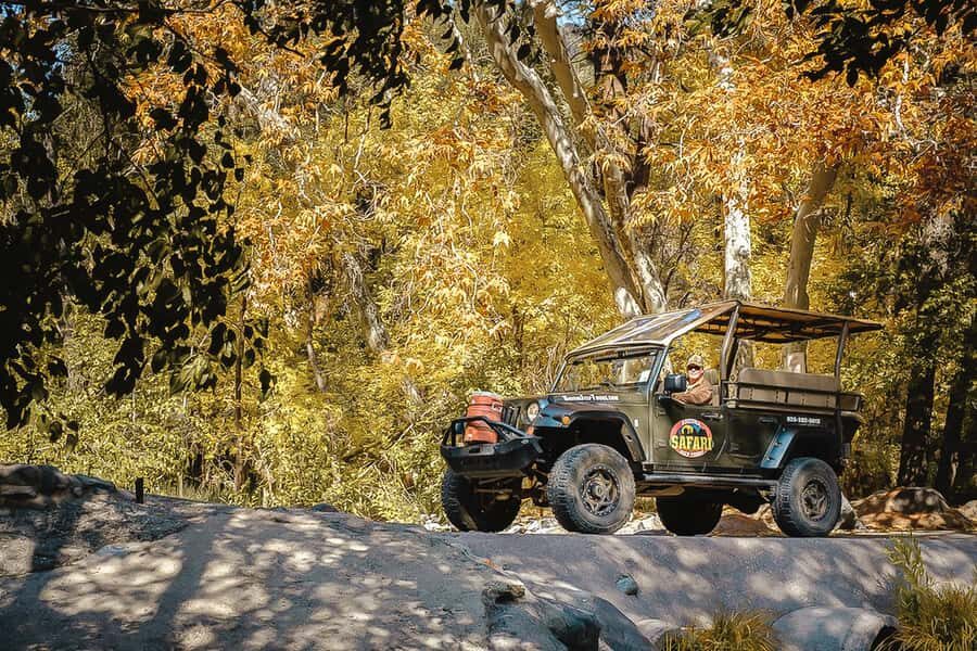From Sedona: 1.5-Hour Oak Creek Canyon Jeep Pavement Tour - The canyon drive: fault-line, cliffs, and the view from the middle