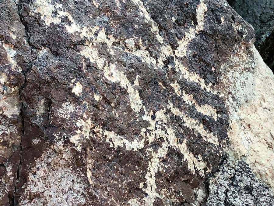 From Sedona: Archeology and Nature Hike - From Sedona by open-air jeep: getting to the good silence