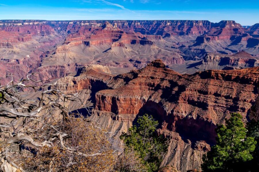 From Sedona or Flagstaff: Grand Canyon Full-Day Tour - Group size, comfort, and the long-day reality