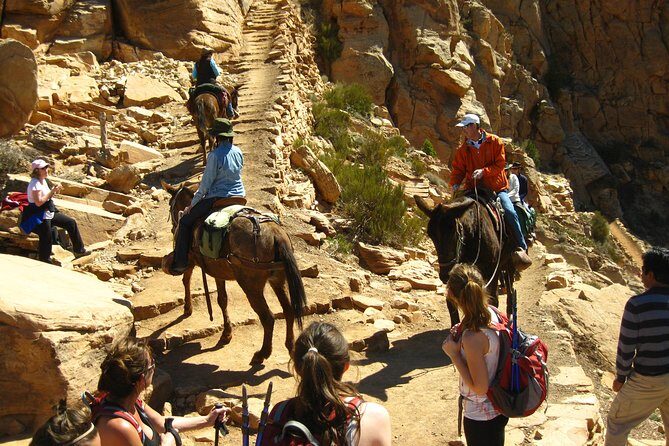 Grand Canyon Hike from Sedona or Flagstaff with 7 Guest Limit - Price and value: is $361.41 reasonable for a day like this?