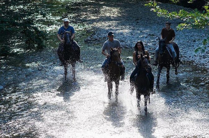 Guided Horseback Tour only 30 mins from Sedona. - Horses, Helmets, and Beginner Comfort: What Helps You Relax