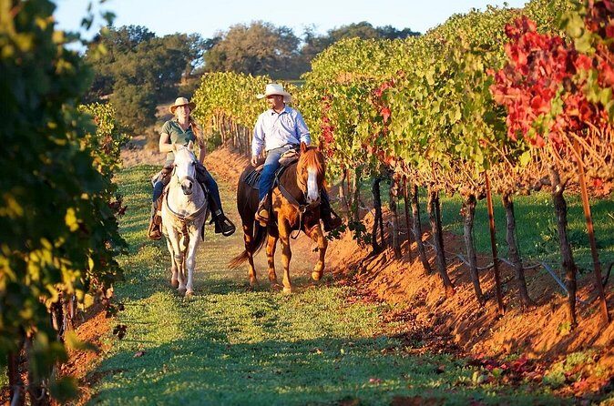 Guided Horseback Tour only 30 mins from Sedona. - Logistics That Matter: Meeting Point, Timing, and Weather