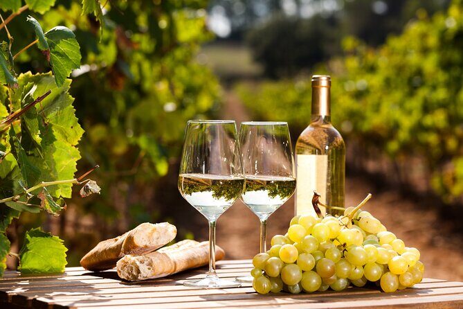 Northern Arizona Private Wine Tour south of Sedona - Verde Valley Wineries - Stop 1: Alcantara Vineyards for a tailored flight in peaceful Verde River country