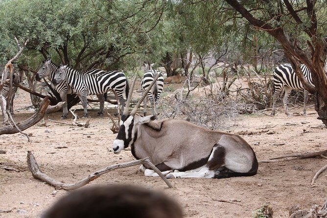 Out of Africa Wildlife Park Admission Ticket - Why This Works Well for a Sedona Day Trip