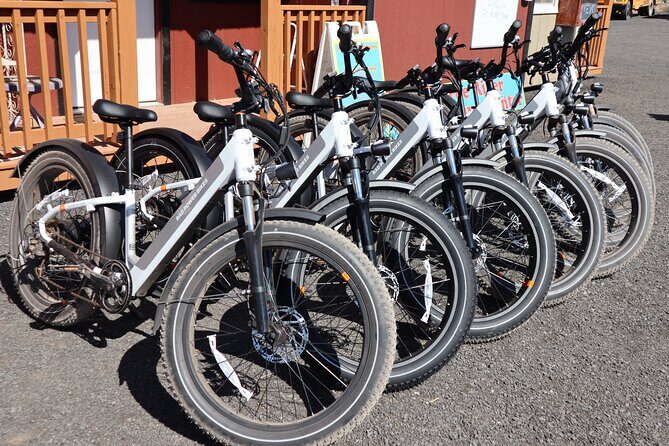 Pedal and Paddle Wine Tour in Arizona - Two activities, one relaxed wine finish
