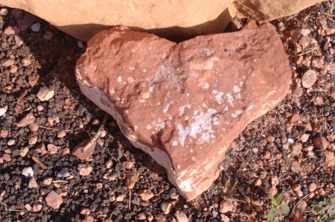 Private 4-Hour Sedona Medicine Wheel and Vortex Journey - What “Grandmother Toltec Wisdom” Adds to the Day