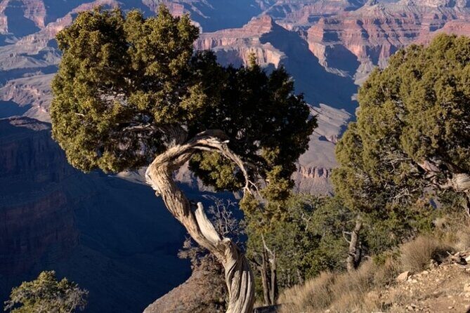 Private Custom Grand Canyon Tours - Stop 1: Cameron Trading Post lunch, shopping, and the right kind of pause