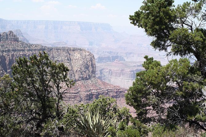 PRIVATE Grand Canyon from Sedona - Grand Canyon South Rim: expert stories plus time to wander