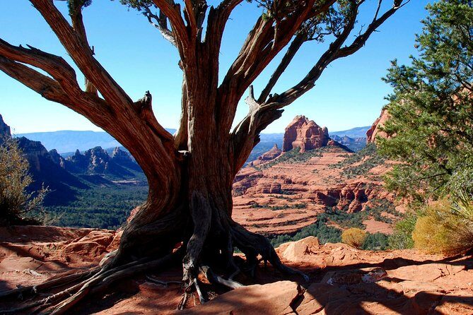 PRIVATE Sedona Jeep Tour 4X4 Climb - Colorado Plateau - Off-road views without steering drama on Sedona’s 89A route