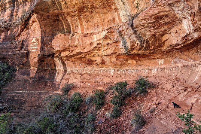 PRIVATE Sedona Scenic Half-Day - just you and your guide - Oak Creek Canyon: red-rock scenery with a river-gorge feel