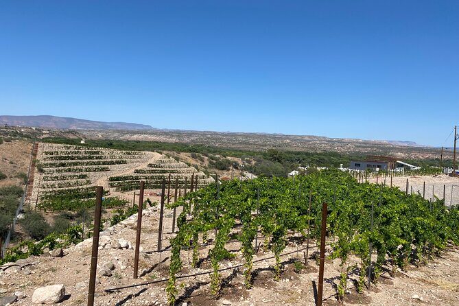 Private Wine Tour from Sedona - Arizona’s Most Luxurious Wine Tour - Stop 4: Oak Creek Vineyards & Winery for the final pour