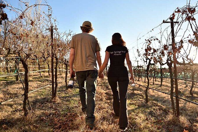 Private Wine Tour in Sedona, Arizona - Why this Sedona wine route works so well in one 4-hour loop