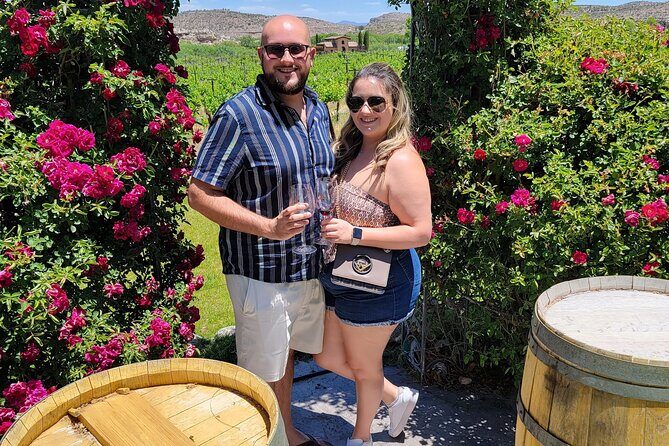Private Wine Tour, Voted best in town, Tastings Included! - Key things to know before you go