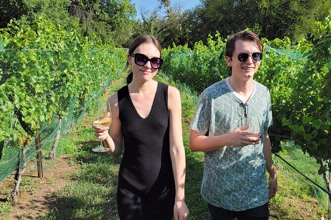 Private Wine Tour, Voted best in town, Tastings Included! - DA Ranch: porch sipping, springs, and the one-stop-with-a-story feel