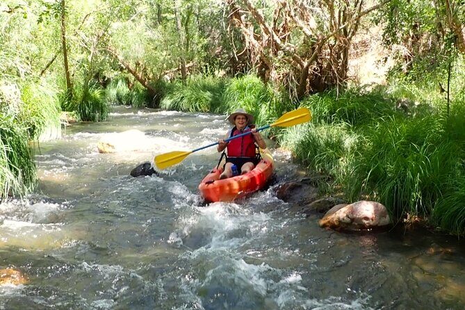 Scenic Guided Kayak Trip - What the Guides Actually Teach You on the Water