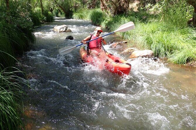 Scenic Guided Kayak Trip - Price and Value: What $107.65 Buys You
