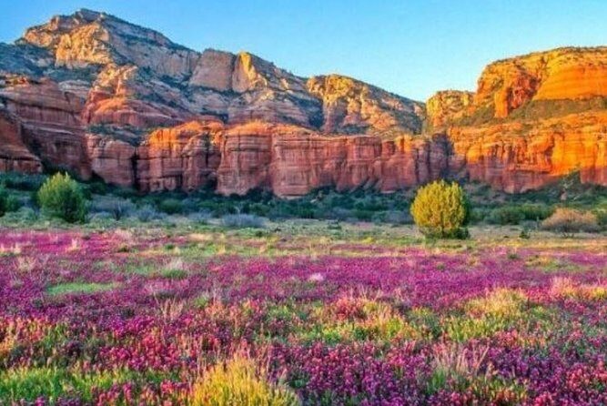 Scenic Sedona Tour - What you learn: geology, plants, and the Sedona climate story