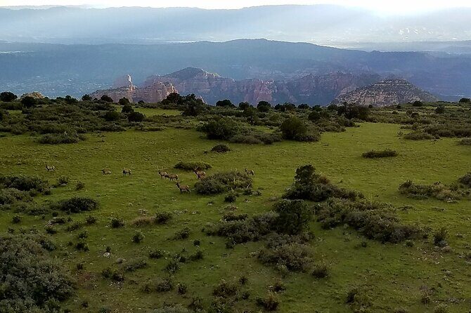 Secret Wilderness (45+ Mile) - Sedona Helicopter Tour - The red rock highlight run: Cathedral Rock, the Chapel, Bell Rock, and more