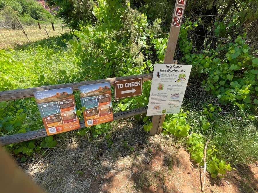 Sedona: Cathedral Rock Vortex E-Bike Tour - Safety, Helmets, and the Guides Who Keep the Group Together