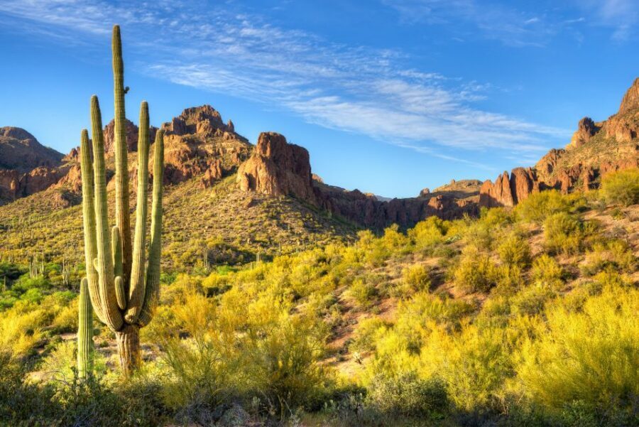 Sedona Day Trip: From Metro Phoenix / Scottsdale - Tlaquepaque Arts and Crafts Village: Shopping With a Point of View