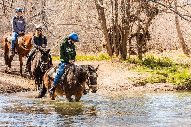 Sedona Horseback Rides At Dead Horse Ranch with River Crossing - What You’ll See During the Dead Horse Ranch Portion