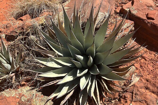 Sedona Magical Sightseeing Highlight Tour- 5 Stars - Price and value: what $69 actually buys you in Sedona