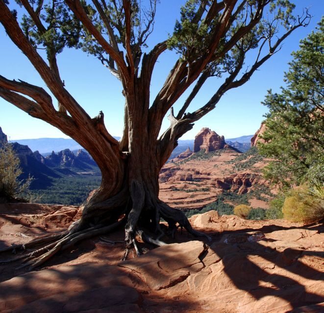 Sedona: PRIVATE 2-Hour Colorado Plateau Scenic Jeep Tour - Jeep ride reality: bumps, elevation, and comfort