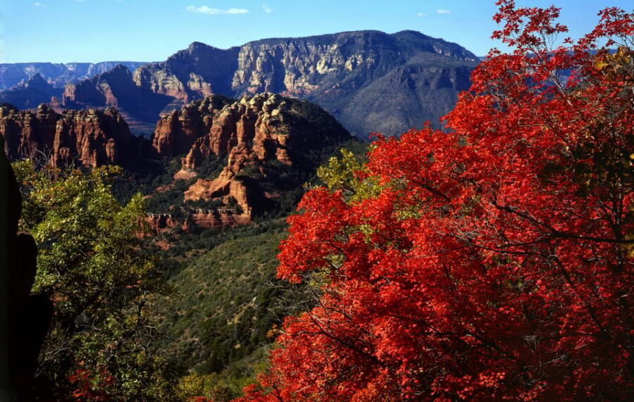 Sedona: PRIVATE Pavement 2-Hour Highlights Jeep Tour - Getting there smoothly: meeting point, pickup, and timing you can plan around