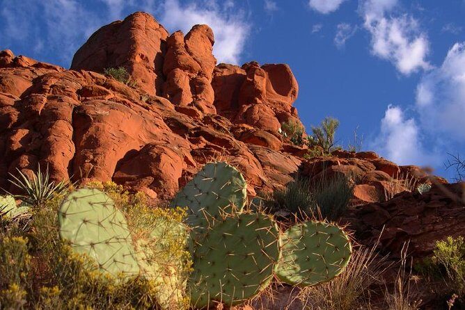 Sedona Red Rocks Outback Tour: Scenic with mild off-roading - Price and value: is $111.86 worth it for 2 hours?