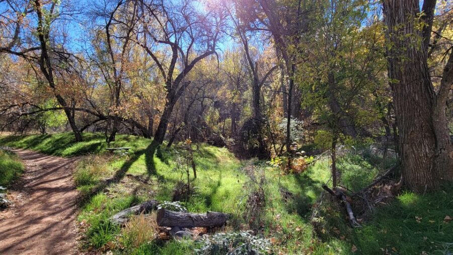Sedona: The Scientific and Spiritual Vortex Tour - Price and Value: When $1,200 Actually Makes Sense