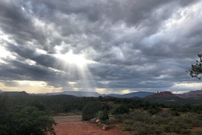 Sunrise Wildlife Safari Tour by Jeep from Sedona - Wildlife expectations: a strong chance, but not a guarantee