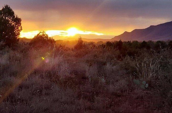Sunrise Wildlife Safari Tour by Jeep from Sedona - Price and logistics: what $124.97 buys you