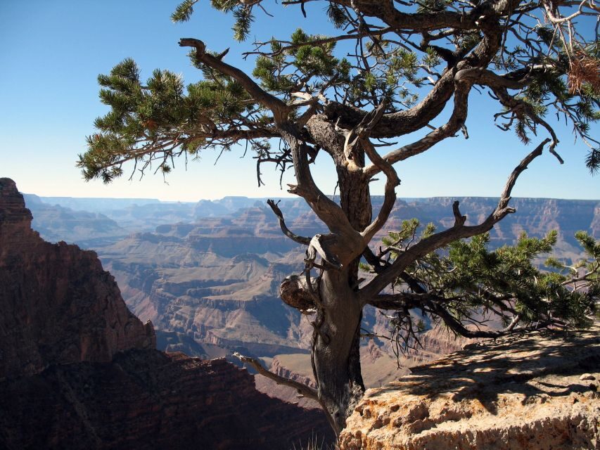 The Grand Canyon Classic Tour From Sedona, AZ - Key things I’d zero in on before you book