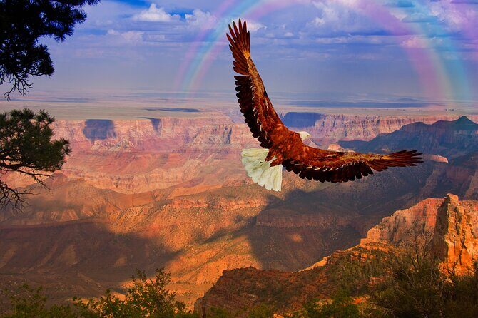 The Perfect Grand Canyon Tour with Local Expert Guides - Kolb Studio: Ellsworth and Emery Kolb at the Canyon Edge
