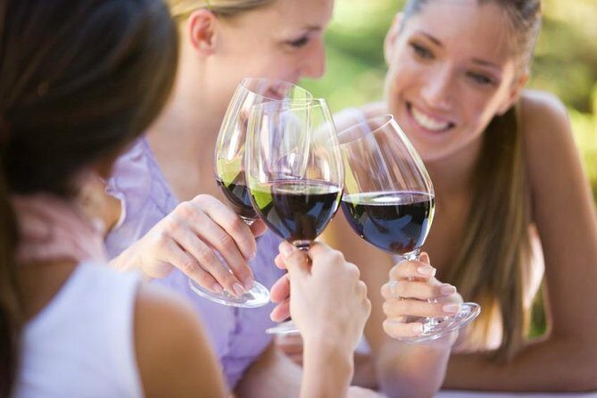 Visit 4 Wineries in Limo Party Bus-Includes Charcuterie Lunch! - Winery stop #1: Dancing Apache Road when it’s open