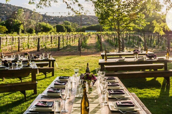 Vortex to Vineyards by ABC wildlife host Rachel Reenstra - DA Ranch: The VIP Springs Stop When It’s Open
