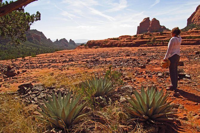 Whole-Day Sedona Vortex Experience - Meditation, ceremonies, and rituals you can actually follow